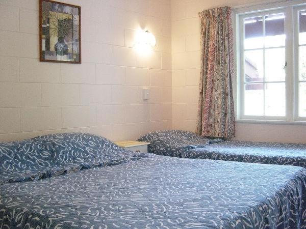Browns Bay Olive Tree Motel & Apartment Okura Bush Pokoj fotografie